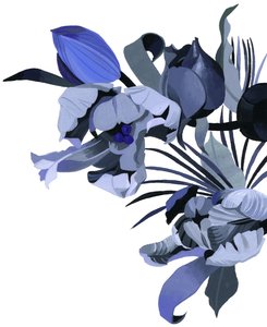 Image inconnue - Unbekannt Unbekannt